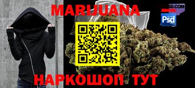 крисы Кунгур