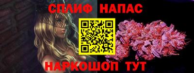 крисы Кунгур