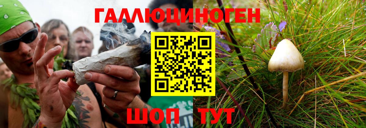 Псилоцибиновые грибы прущие грибы  Вход с VPN  Усть-Джегута 