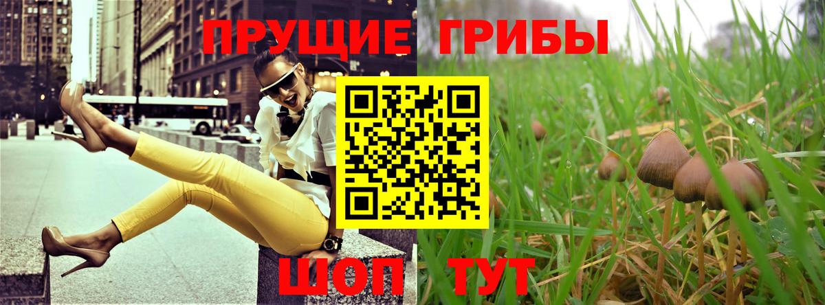 Псилоцибиновые грибы GOLDEN TEACHER Усть-Джегута